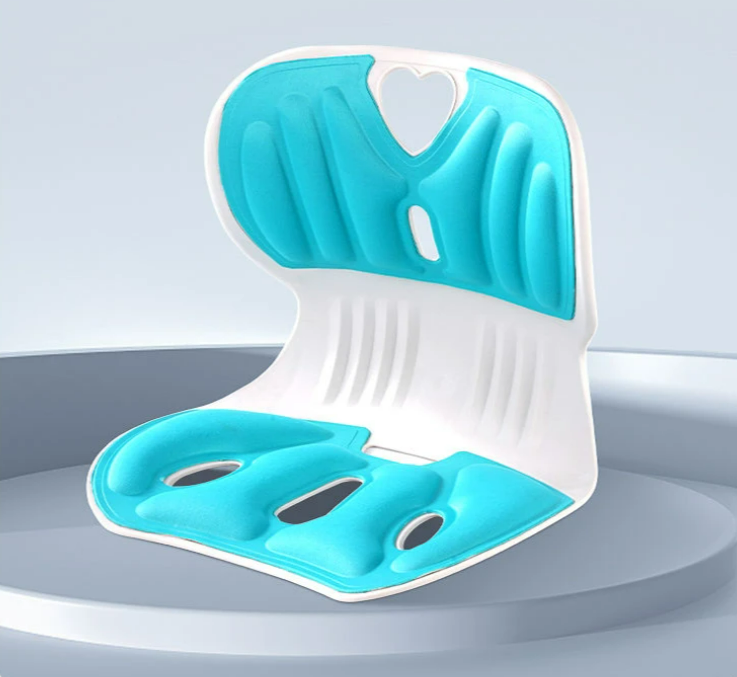 Ergonomic Chair Back Support, Lumbar Support for Good Posture Correction and Back Pain Relief, Perfect for Office Chair, Floor Seat, and Work from Home
